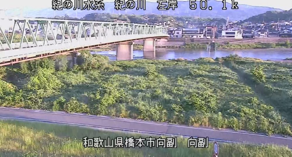 紀の川左岸50.1K向副