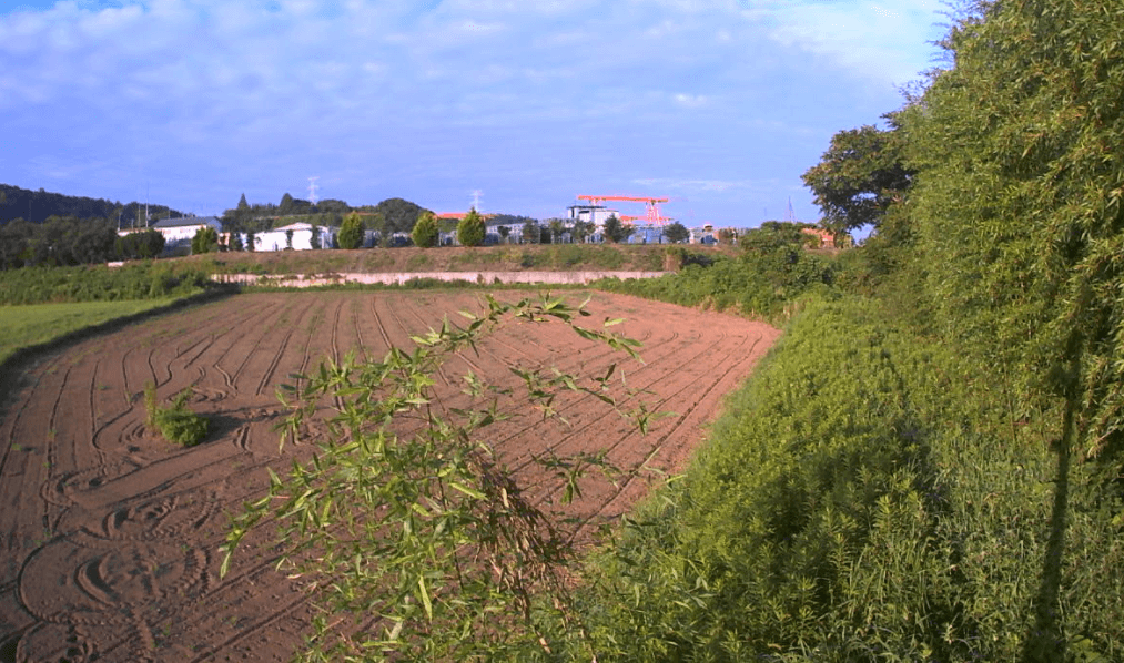 小貝川70.2KP左岸