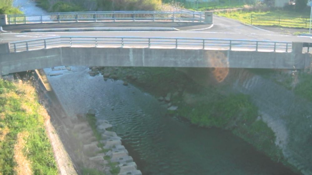 小猫川桜橋