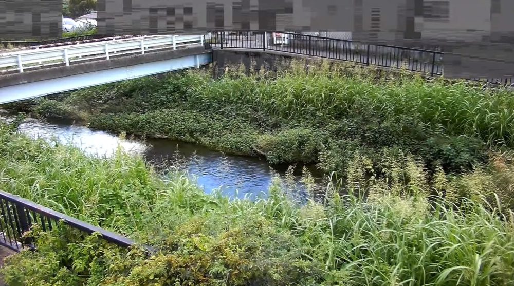 黒目川下田橋