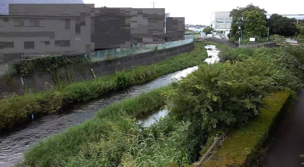 黒目川神宝大橋