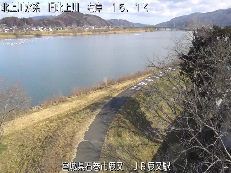 旧北上川右岸15.1K