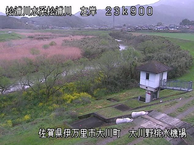 松浦川左岸23.9K