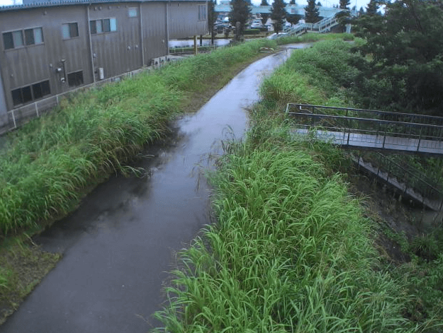 緑川野田