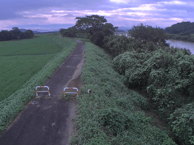 緑川豊秋