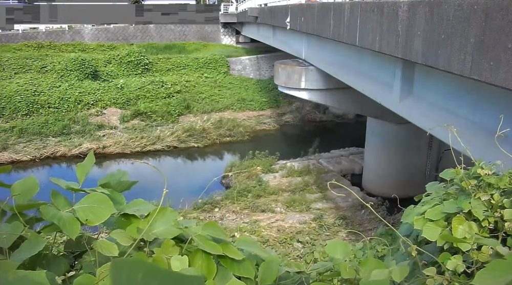 南浅川横川橋