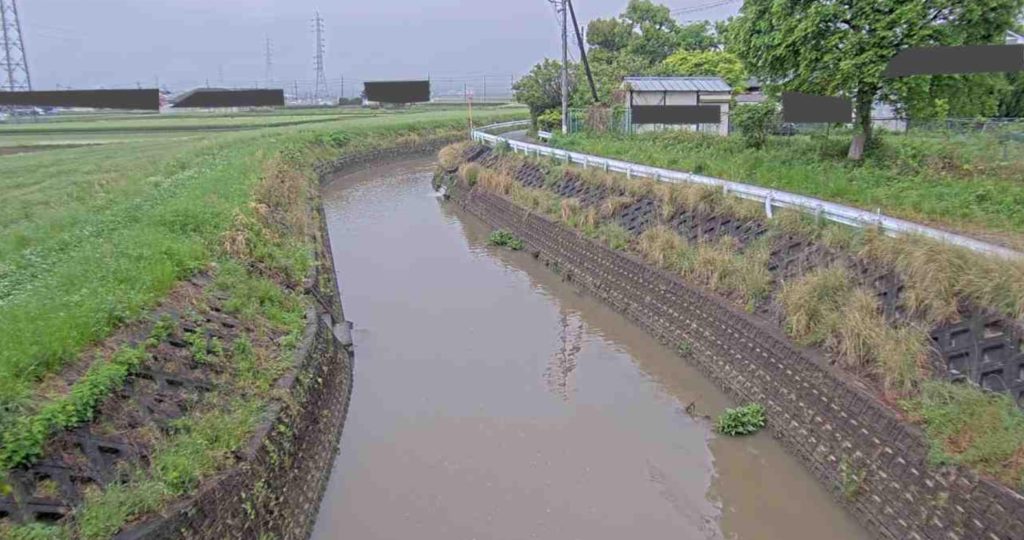 美濃屋川美濃屋橋上流