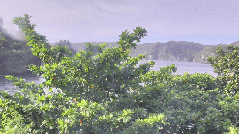 父島宮の浜