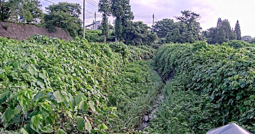 宮沢川宮沢