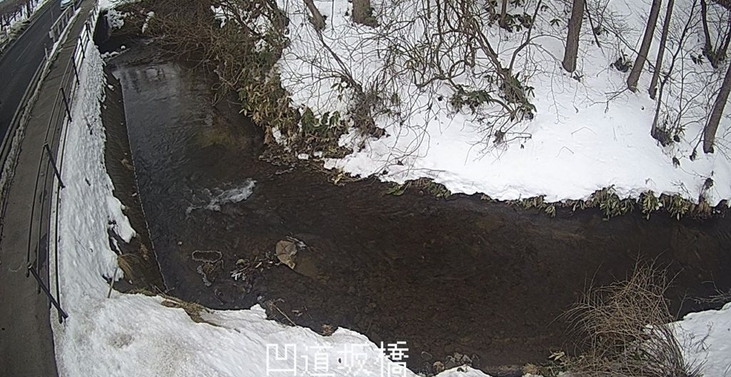 諸葛川凹道坂橋