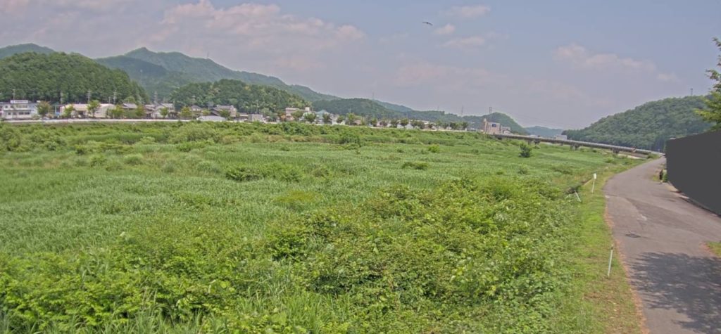 武儀川武芸川町谷口