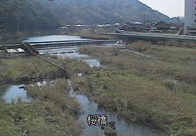 紫川桜橋上流