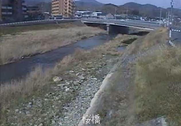 紫川桜橋下流