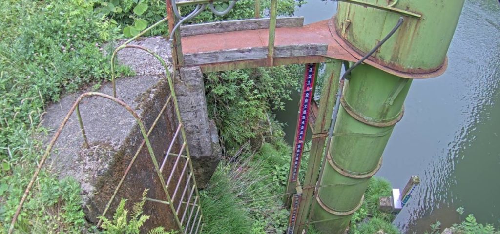 長良川八幡町稲成