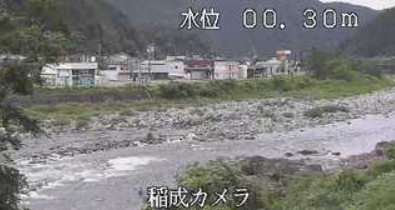 長良川稲成