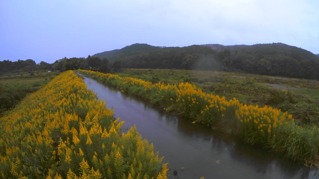 那珂川左岸39.0KP+330