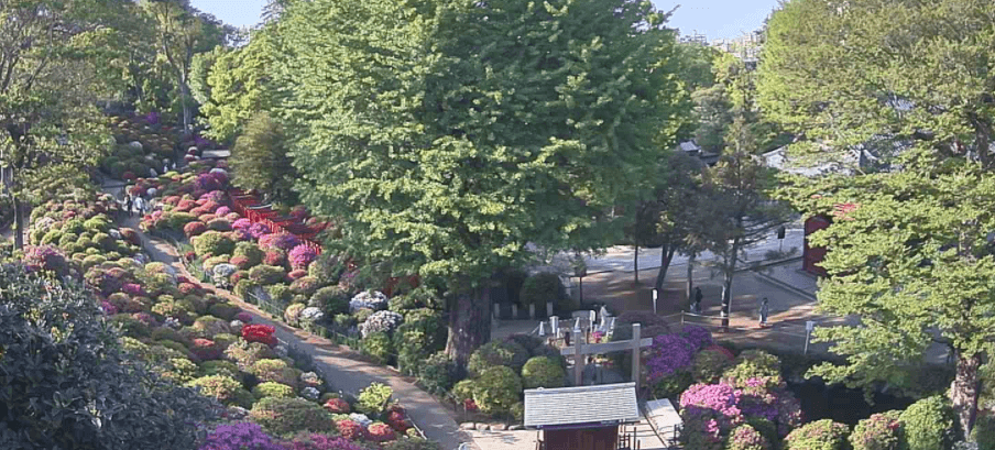 根津神社