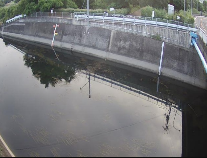 寝屋川治水緑地