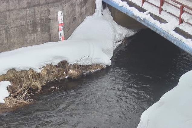 仁沢瀬川風林橋