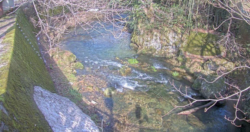 西俣川岩上大橋