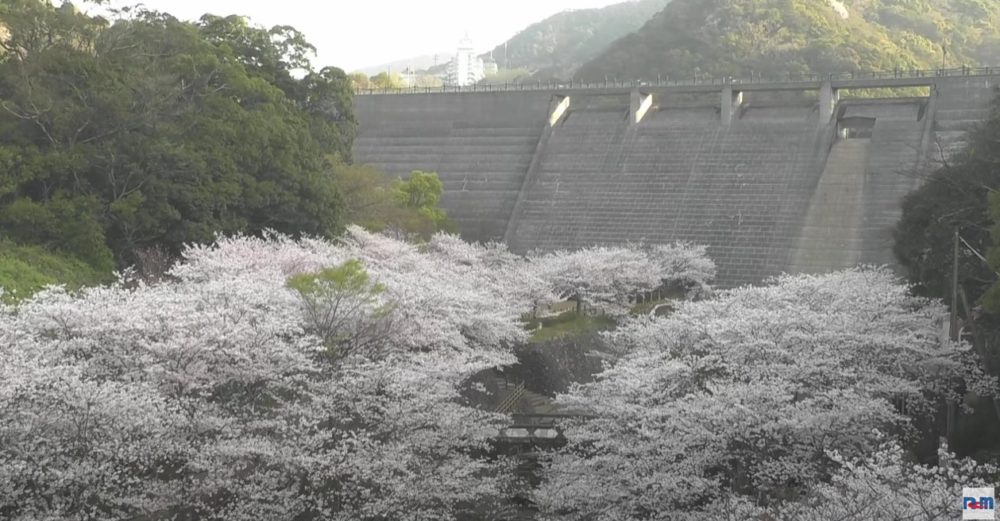 西山ダム下流公園