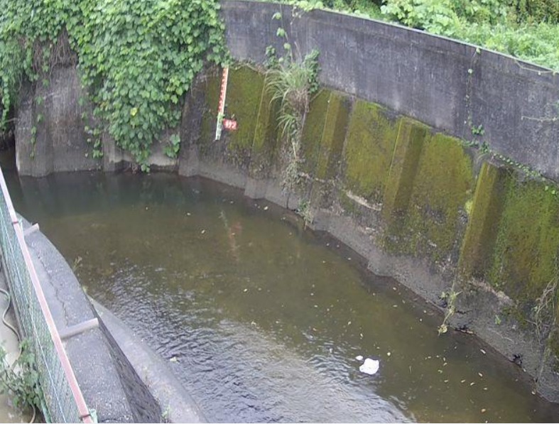 西除川草沢歩道橋