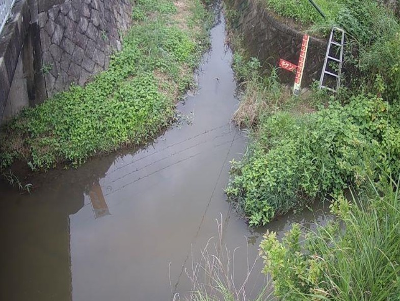 西除川高橋