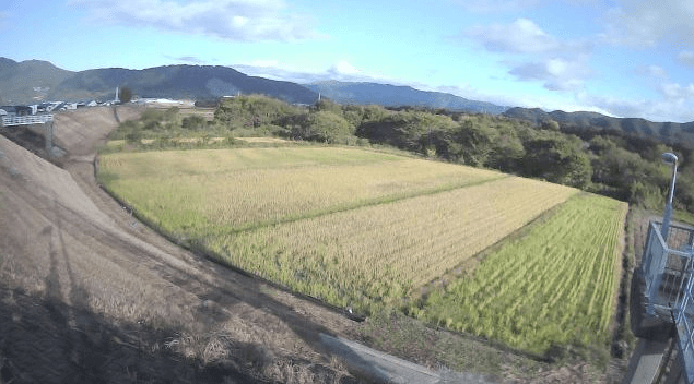 仁淀川高岡