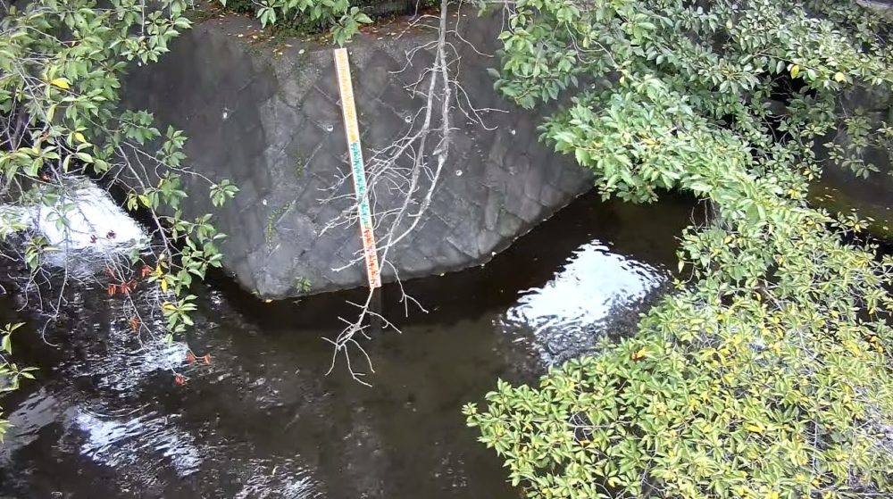 野川一里塚橋