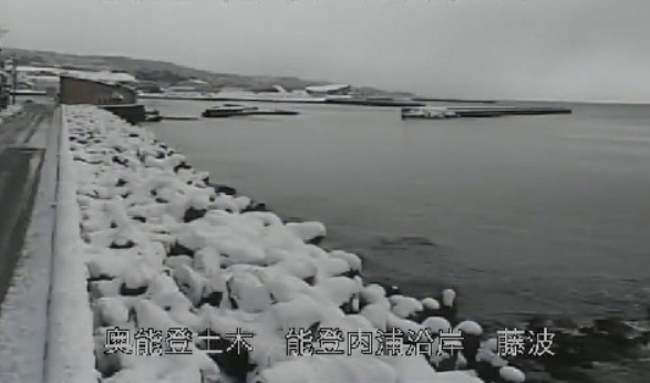 能登内浦沿岸藤波