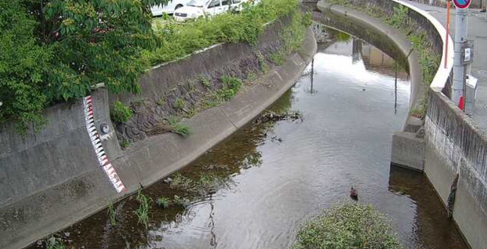 大堀川向月町