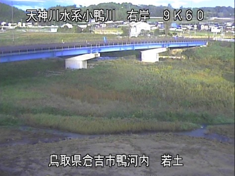 小鴨川右岸9.6K若土