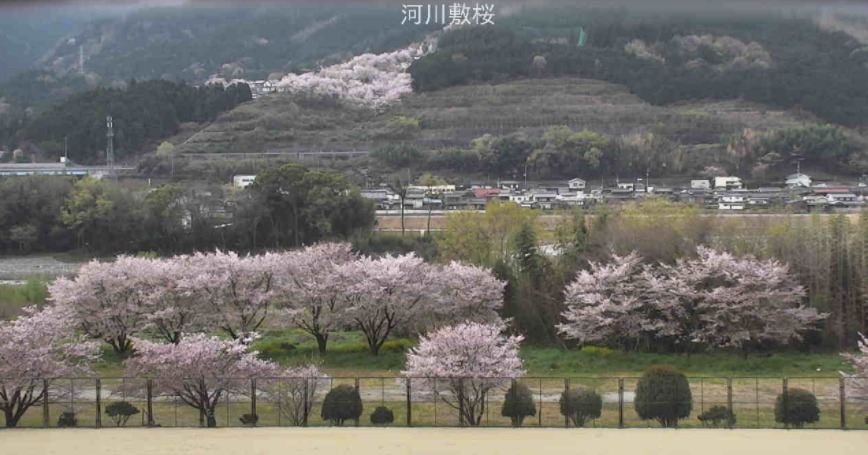 小川谷運動公園