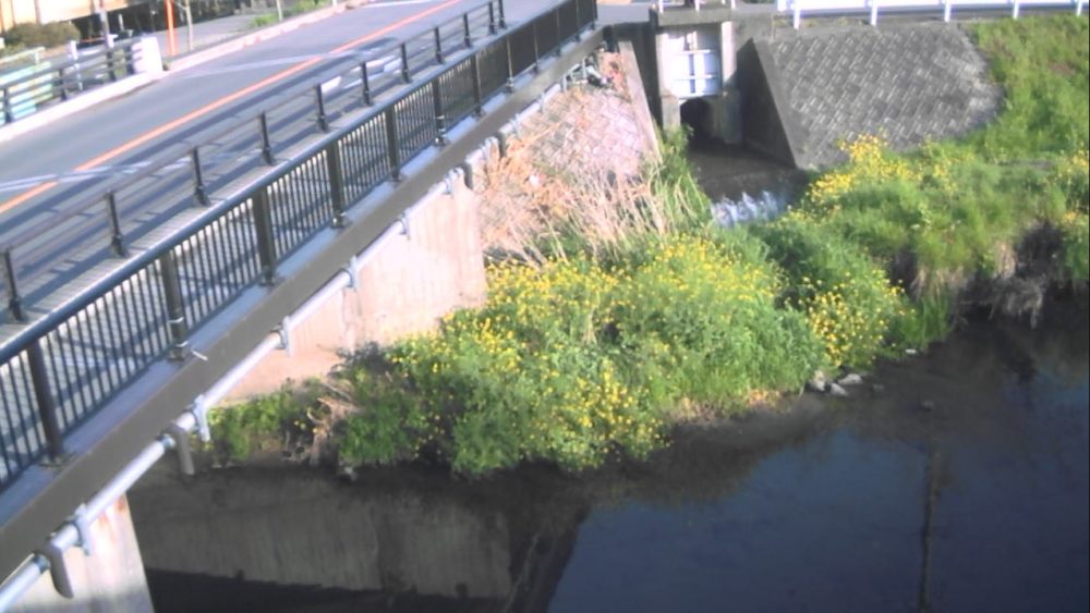 大分川御幸橋