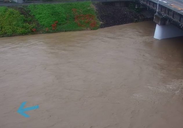 大代川大代川橋