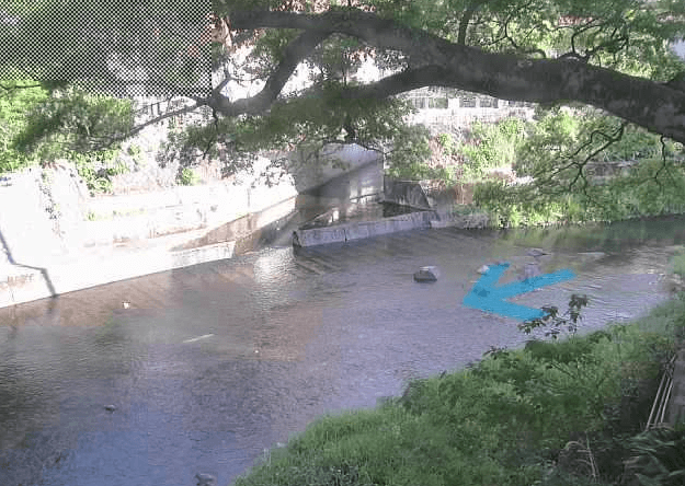 岡橋