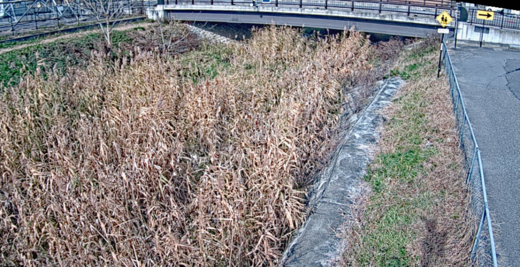 岡田川五明新橋