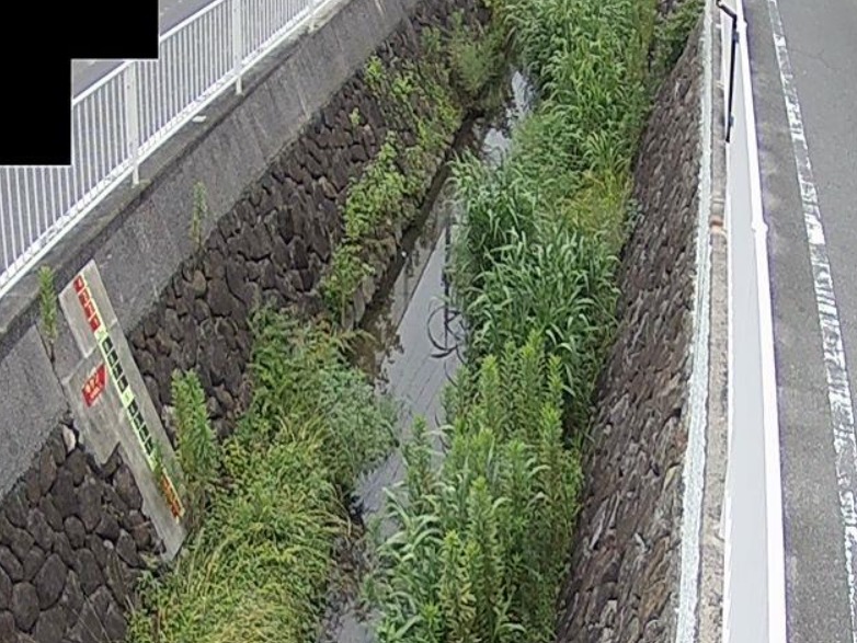 大川東高野街道