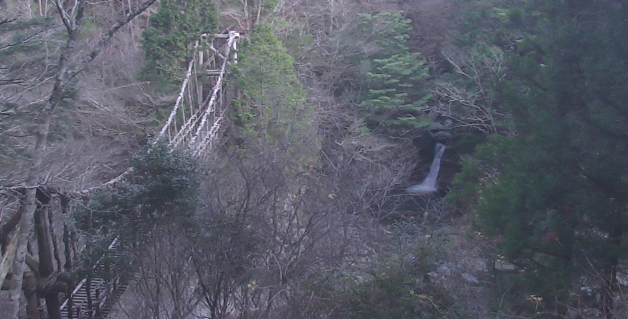 奥祖谷二重かずら橋