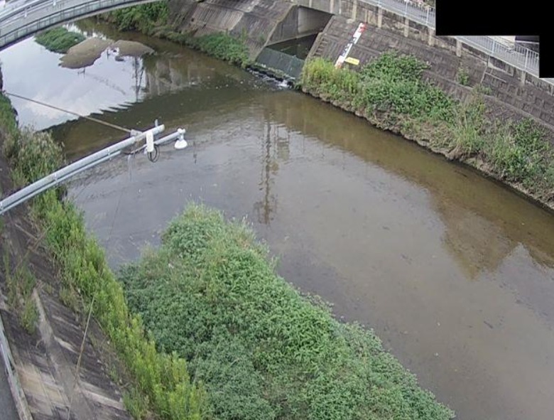 恩智川中高橋