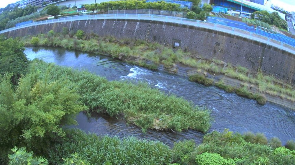 恩田川岩川合流点