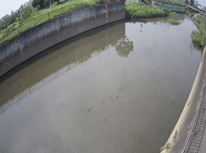 恩智川治水緑地