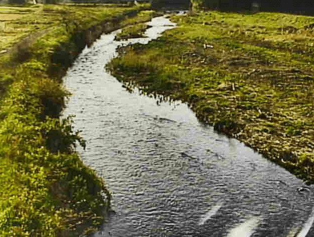 石田川大床