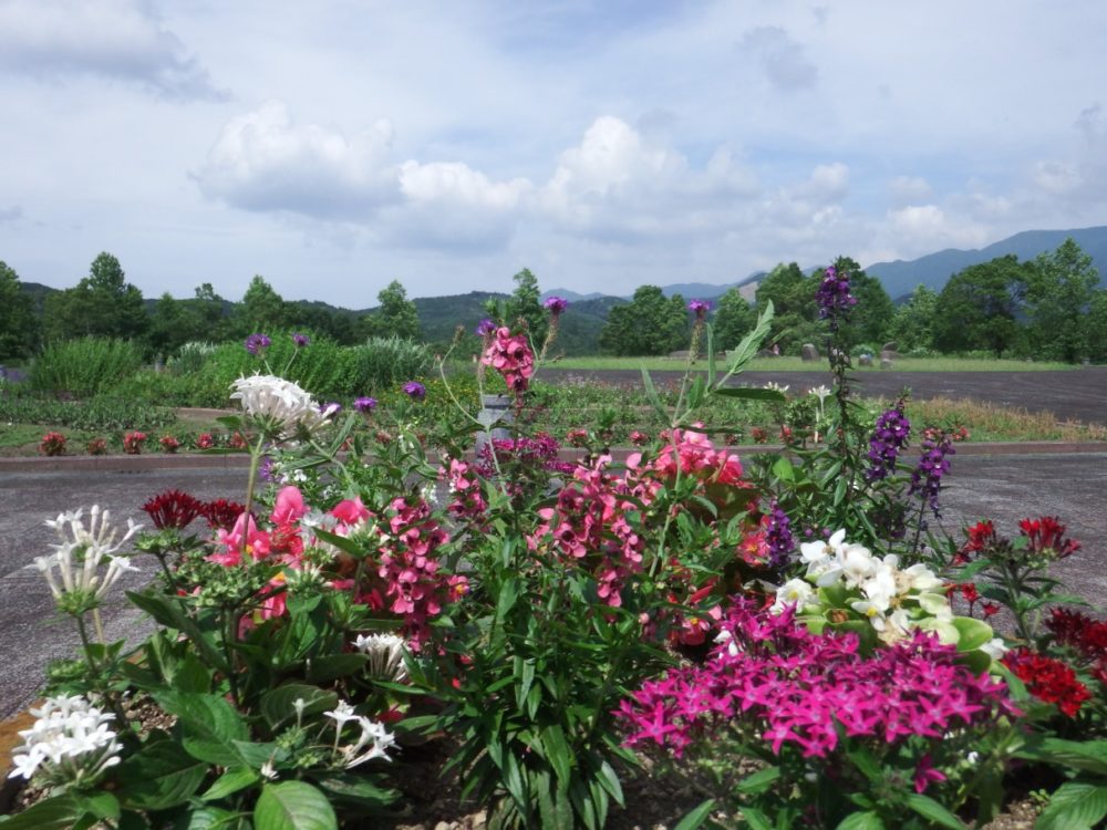 大隅広域公園