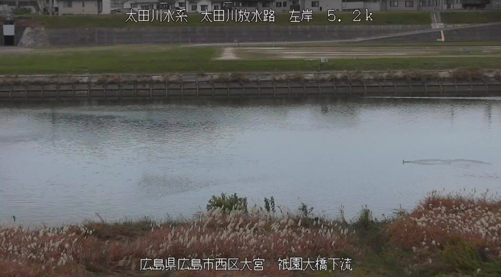太田川放水路左岸5.2K