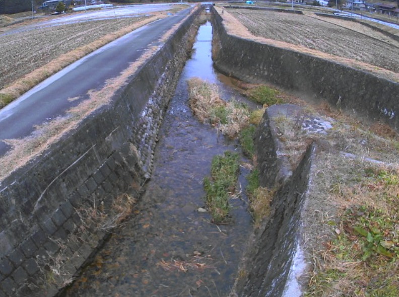 弟川伊豆木