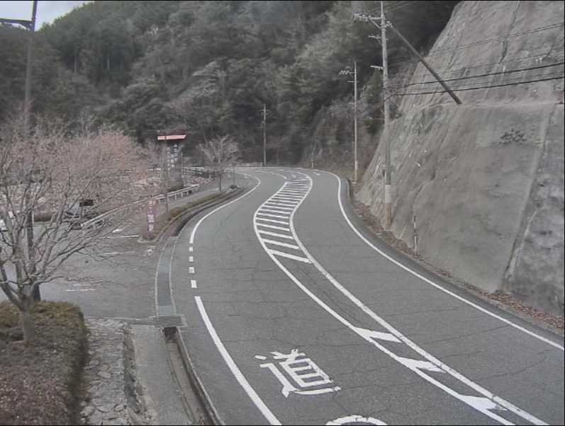 国道186号道の駅スパ羅漢