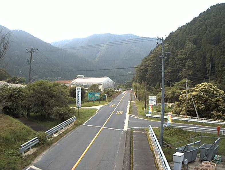 国道257号野口トンネル愛知県境方面