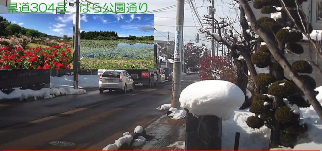 山形県道304号ばら公園通り