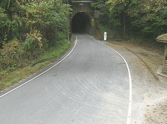 愛媛県道31号歯長隧道